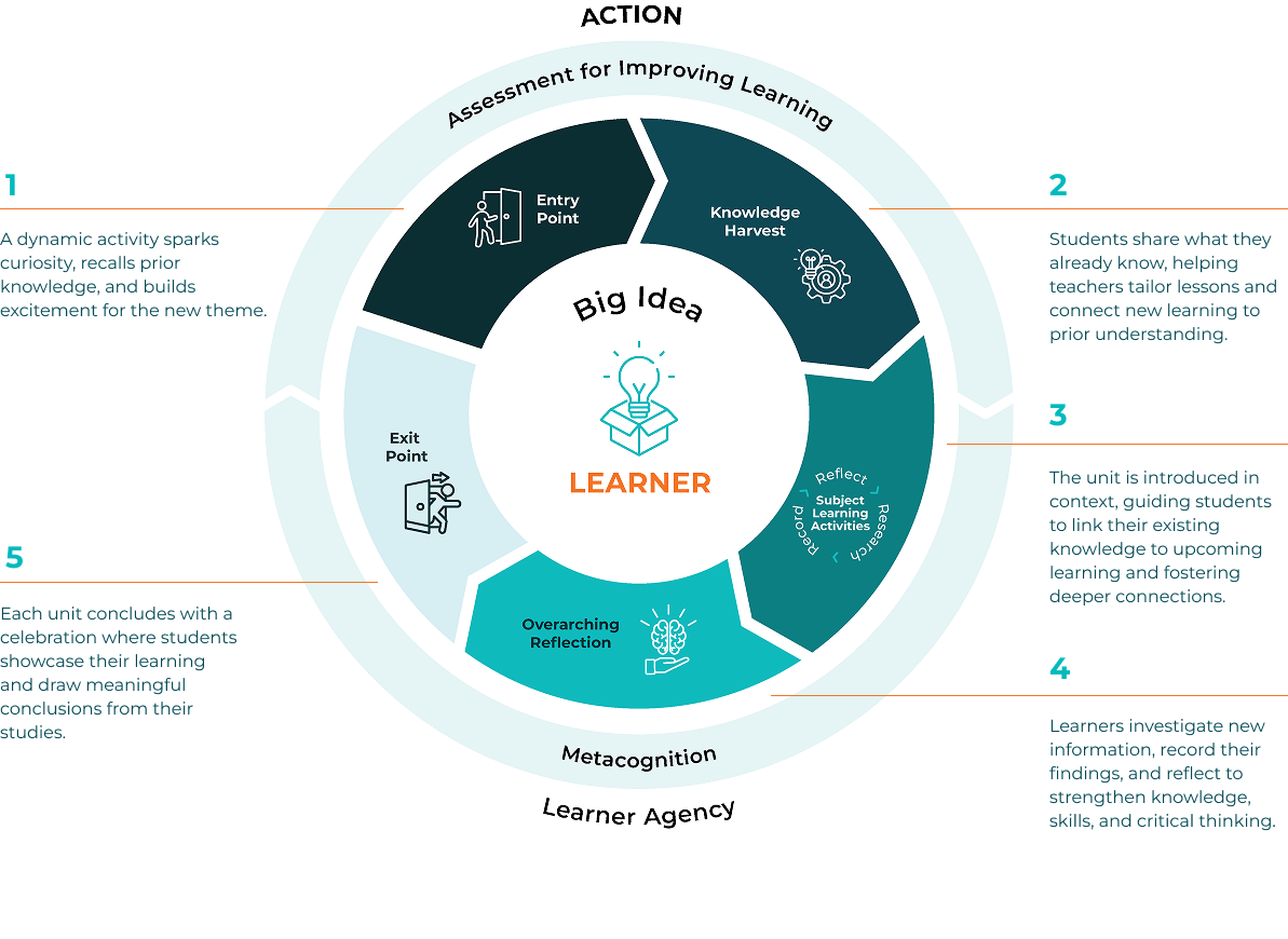 The IMYC Learning Process