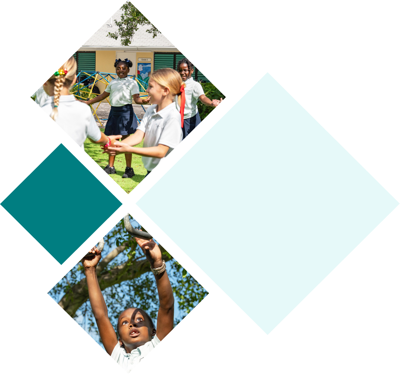 international-school-turks-and-caicos-future-growth-students